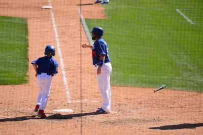 DSC_1608 (Large).JPG